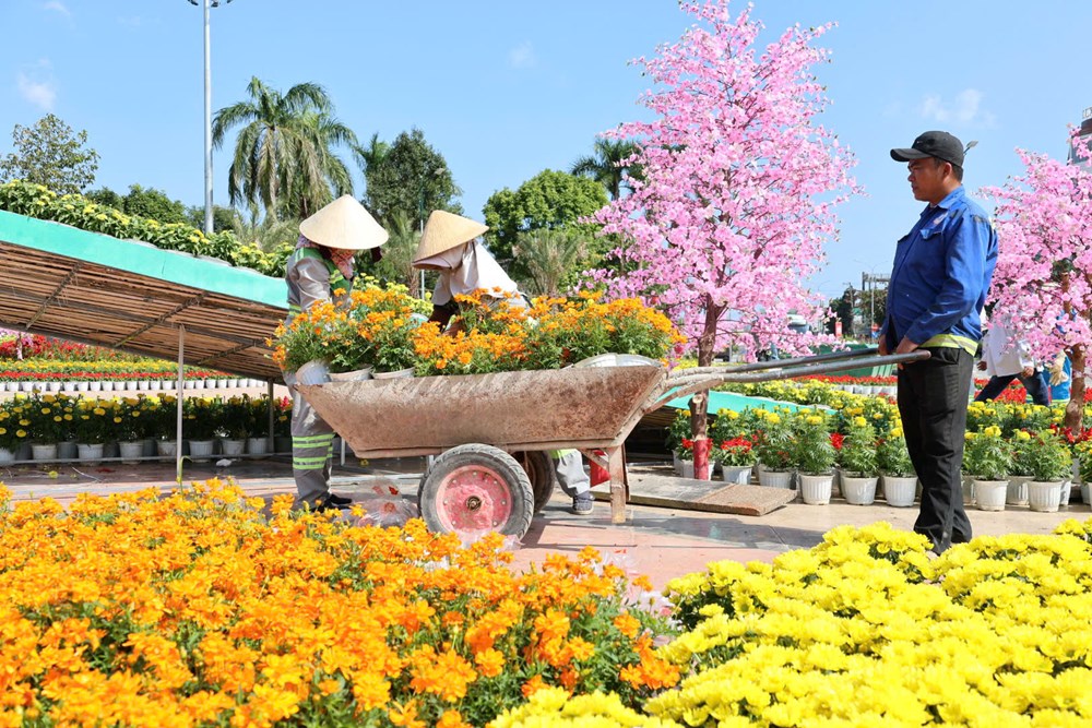 Quảng Ngãi rực rỡ sắc Xuân, sẵn sàng đón Tết - ảnh 9