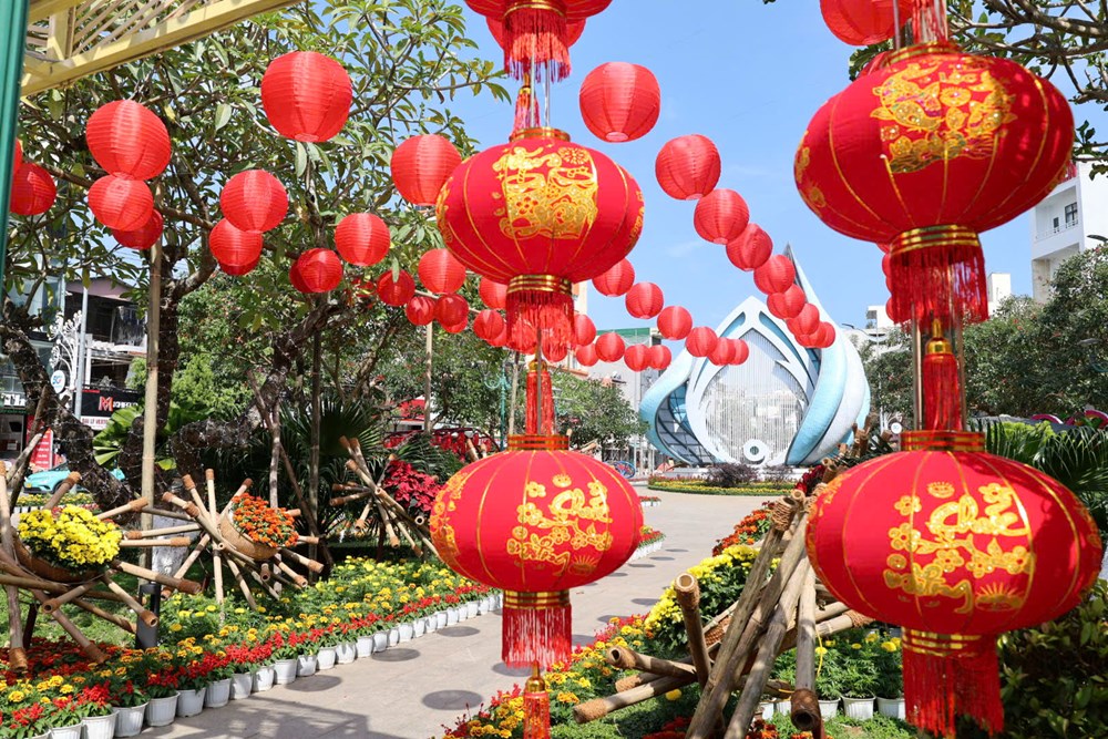 Quảng Ngãi rực rỡ sắc Xuân, sẵn sàng đón Tết - ảnh 6