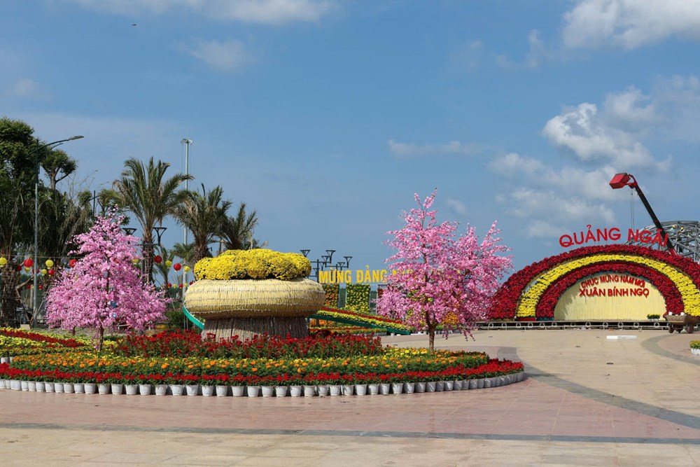 Quảng Ngãi rực rỡ sắc Xuân, sẵn sàng đón Tết - ảnh 5