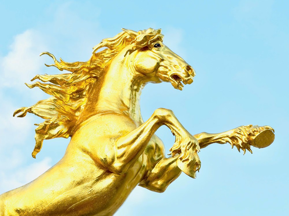 Gợi mở câu chuyện gắn kết đại ngàn với đại dương - ảnh 3