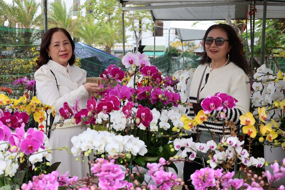 Rực rỡ sắc lan ở chợ hoa Tết Quảng Ngãi - ảnh 8