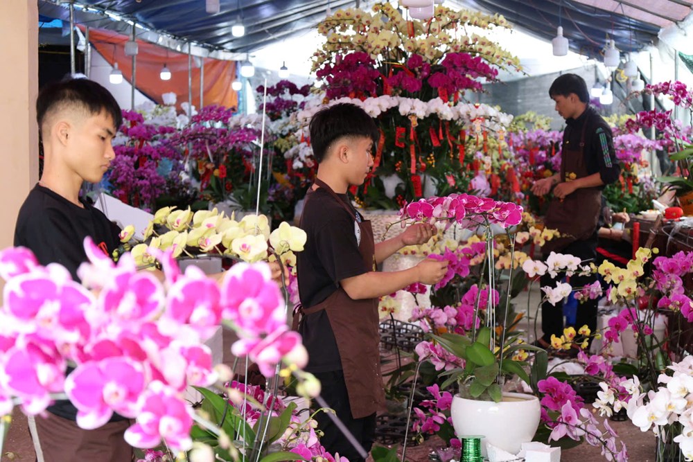 Rực rỡ sắc lan ở chợ hoa Tết Quảng Ngãi - ảnh 3