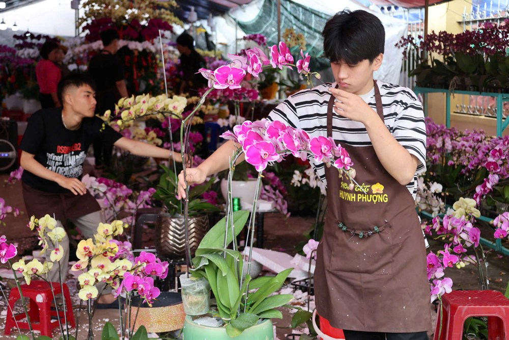 Rực rỡ sắc lan ở chợ hoa Tết Quảng Ngãi - ảnh 4