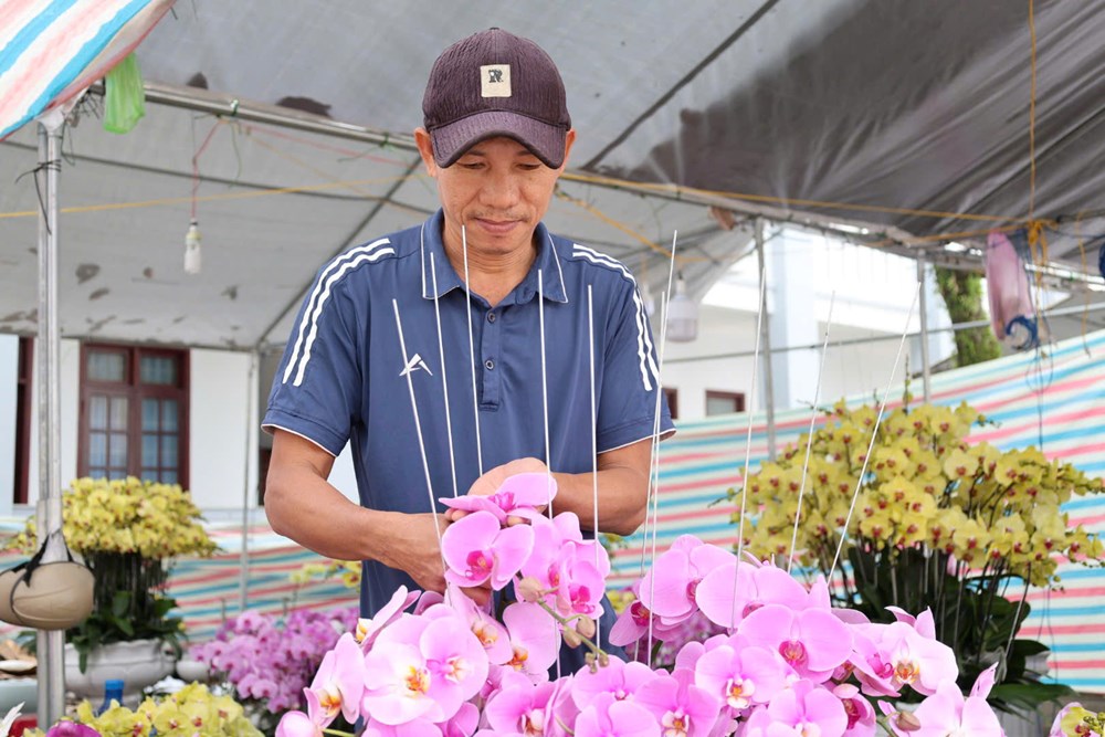 Rực rỡ sắc lan ở chợ hoa Tết Quảng Ngãi - ảnh 6