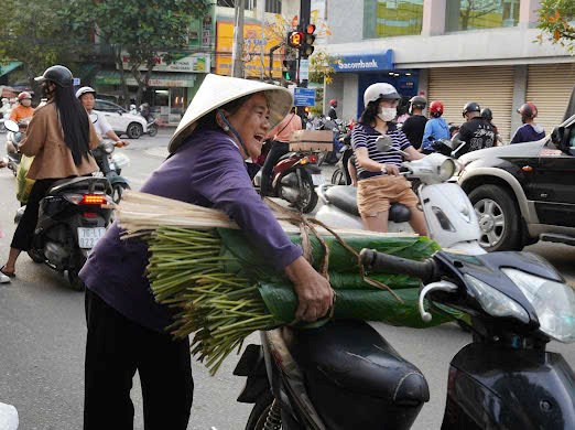 Cận Tết, thị trường lá dong, lá chuối “nóng” theo từng ngày - ảnh 5