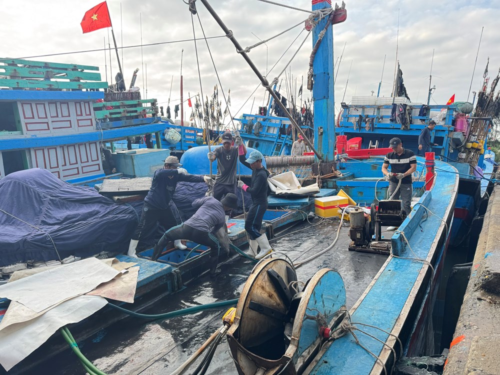 Mùa biển cuối năm khởi sắc, ngư dân Quảng Ngãi vững tin bước vào năm mới - ảnh 1