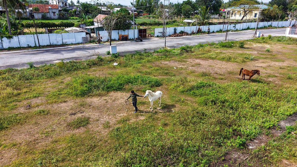 Giữ một nét riêng cho du lịch biển bằng tiếng vó ngựa - ảnh 2