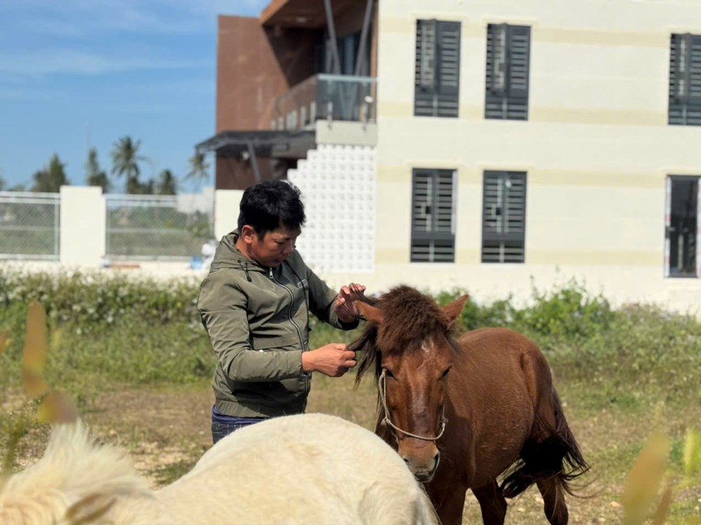 Giữ một nét riêng cho du lịch biển bằng tiếng vó ngựa - ảnh 1
