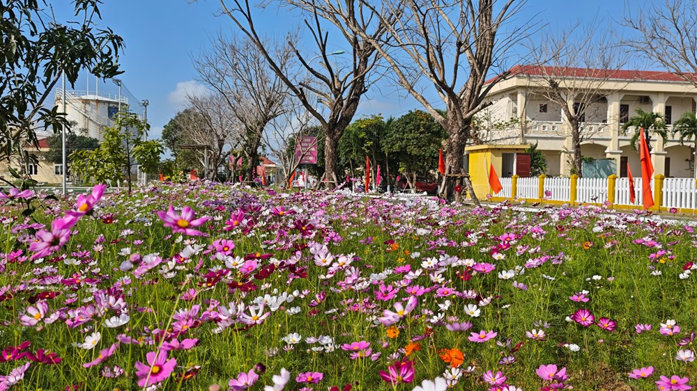 Vùng Cảnh sát biển 2 trồng cây đầu Xuân, quyết tâm hoàn thành nhiệm vụ 2026 - ảnh 3