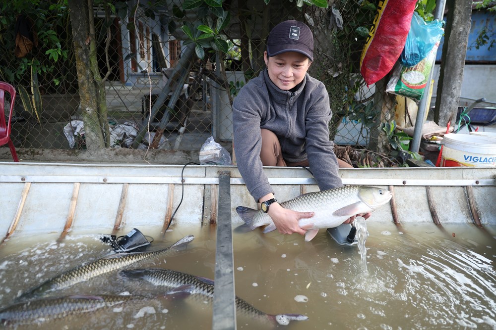 Quảng Ngãi: Bán cá trên ghe, ngư dân Trà Khúc thu tiền triệu mỗi ngày - ảnh 3