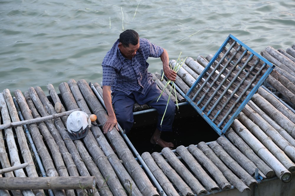 Quảng Ngãi: Bán cá trên ghe, ngư dân Trà Khúc thu tiền triệu mỗi ngày - ảnh 4