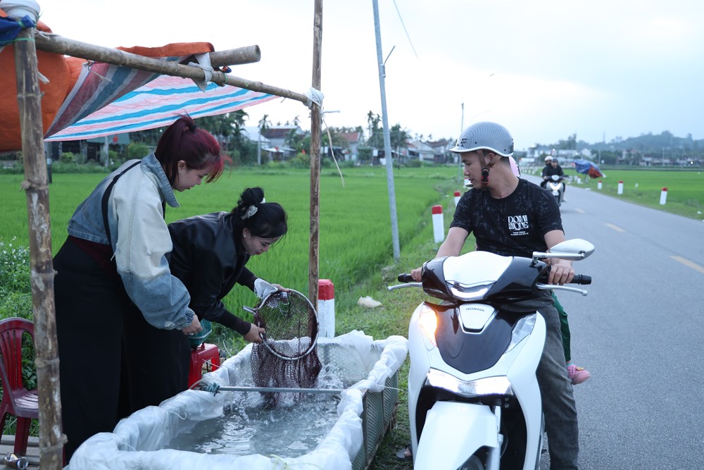 Quảng Ngãi: Bán cá trên ghe, ngư dân Trà Khúc thu tiền triệu mỗi ngày - ảnh 1