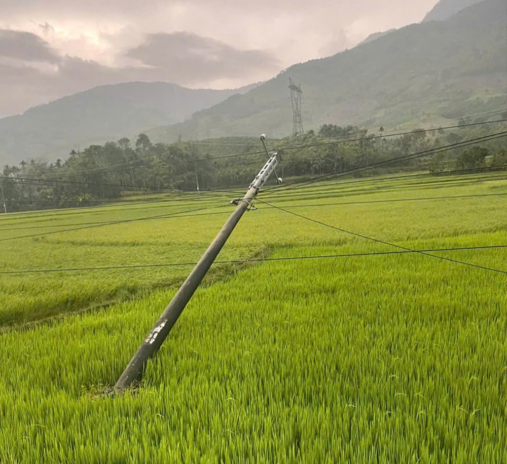 Lốc xoáy làm tốc mái 116 nhà ở miền núi Quảng Ngãi - ảnh 3