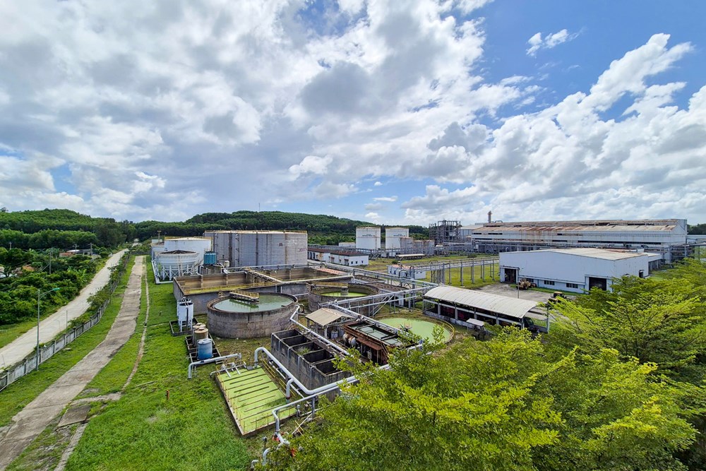 BSR tăng tốc nhiên liệu sinh học, sẵn sàng 60.000 tấn ethanol cho lộ trình xăng E10 - ảnh 3