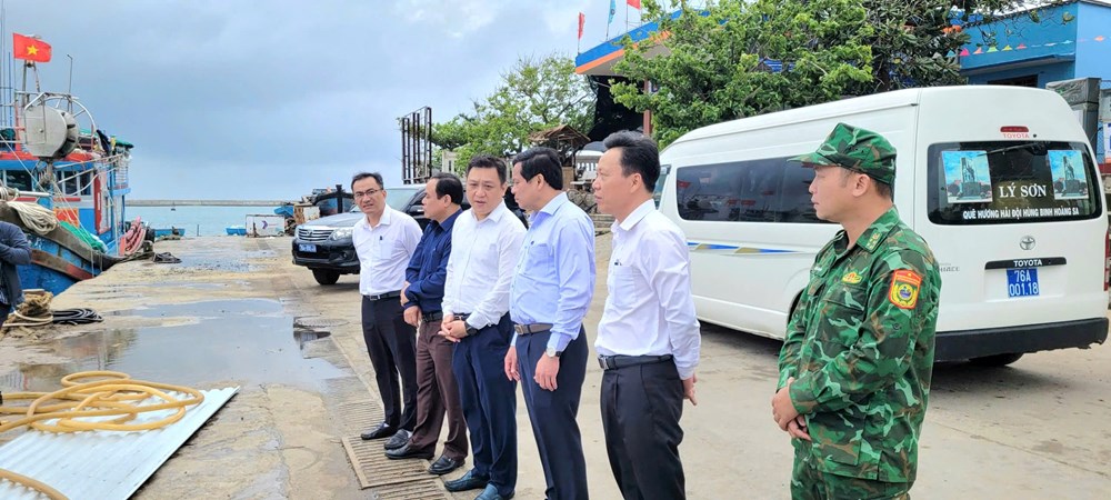 Đảm bảo các điều kiện cho ngày hội toàn dân ở đặc khu Lý Sơn - ảnh 4