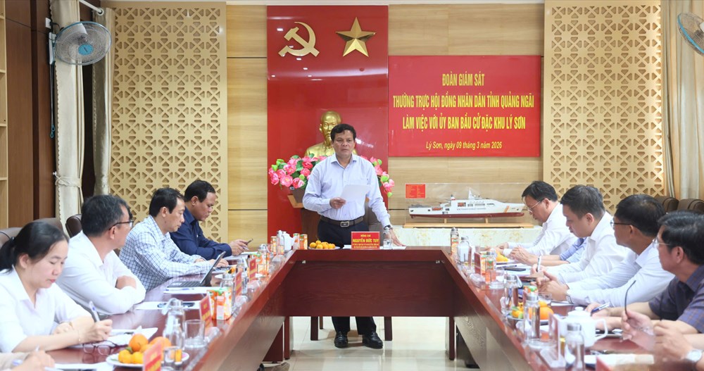 Đảm bảo các điều kiện cho ngày hội toàn dân ở đặc khu Lý Sơn - ảnh 3