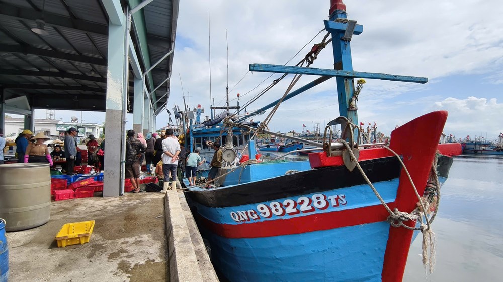 Ngư dân gác chuyến biển, chờ ngày thực hiện quyền công dân - ảnh 1