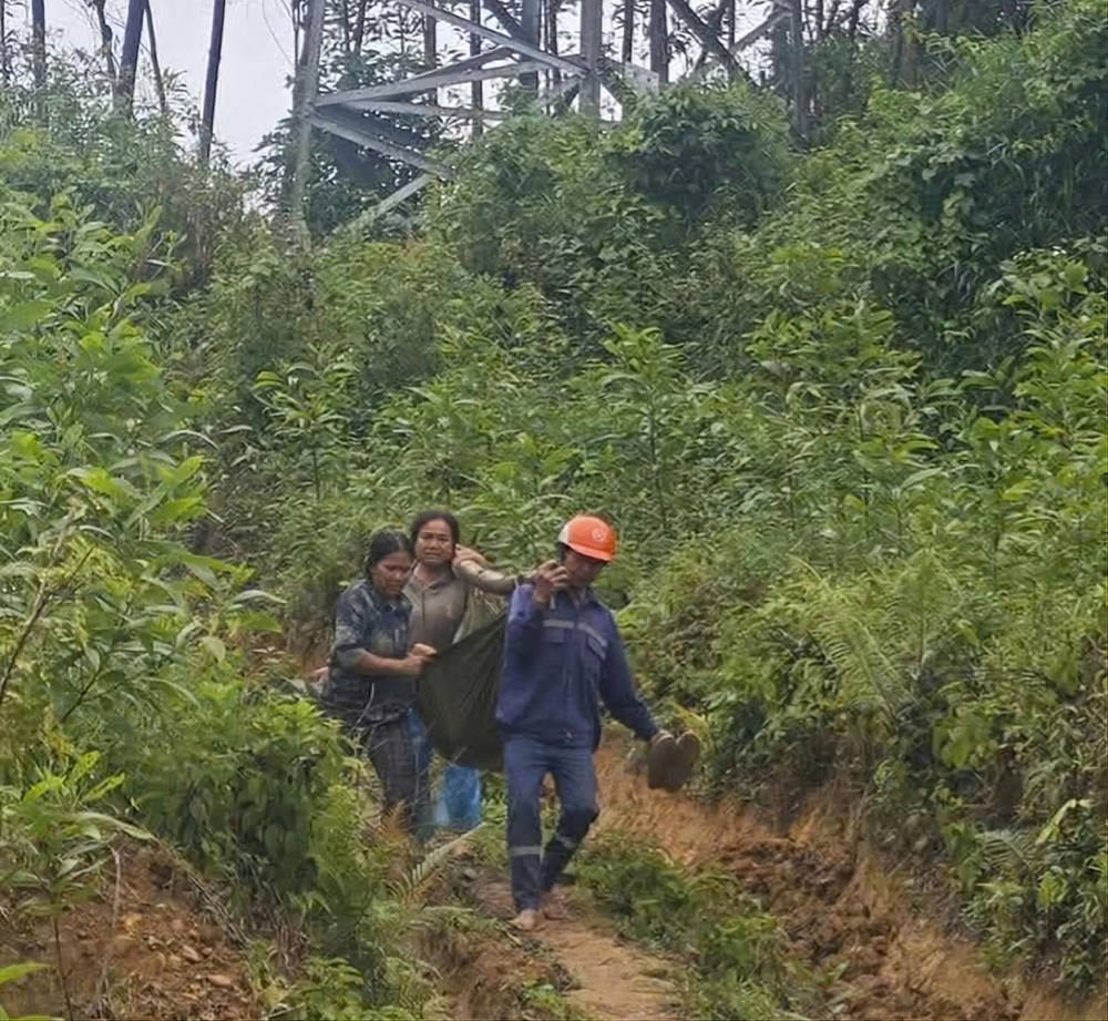 Hai người bị thương do sự cố phóng điện từ đường dây 110kV khi khai thác keo - ảnh 1