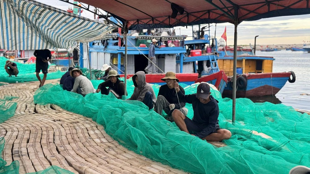 Ngư dân Quảng Ngãi ứng dụng máy lái tự động giảm chi phí nhiên liệu - ảnh 3