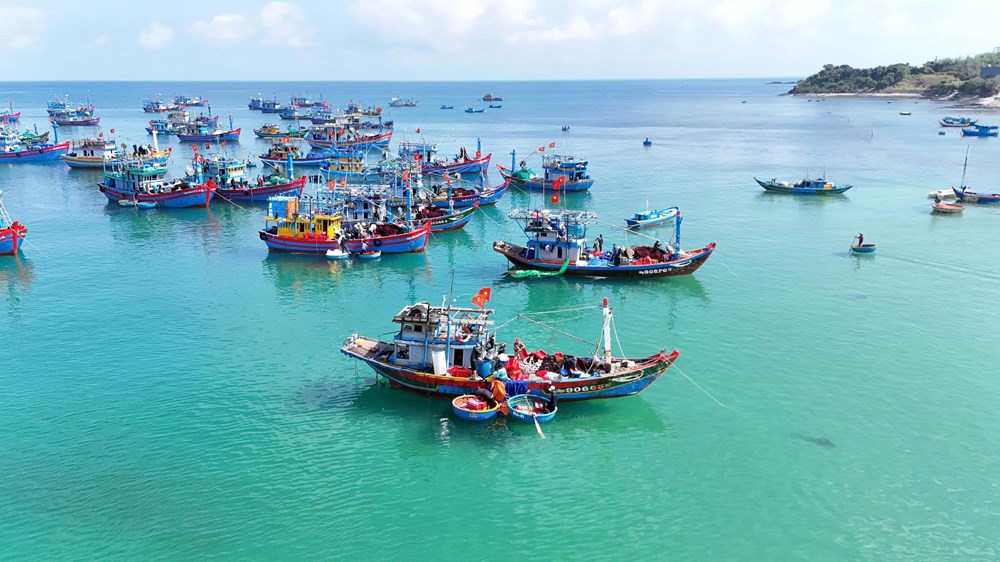 Ngư dân Quảng Ngãi ứng dụng máy lái tự động giảm chi phí nhiên liệu - ảnh 4