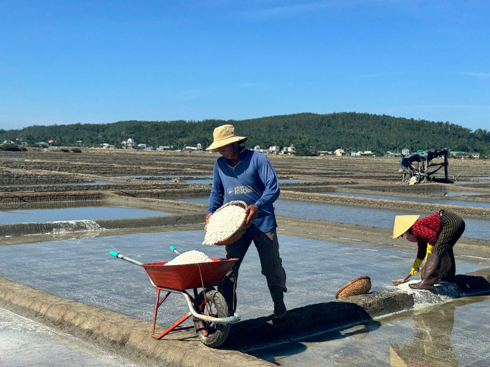 Diêm dân Sa Huỳnh phấn khởi khi giá muối tăng kỷ lục - ảnh 1