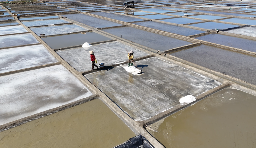 Diêm dân Sa Huỳnh phấn khởi khi giá muối tăng kỷ lục - ảnh 3