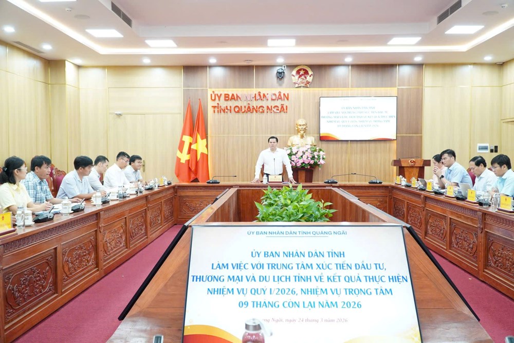 Quảng Ngãi mở rộng cánh cửa du lịch và đầu tư, hướng tới trải nghiệm đột phá - ảnh 1