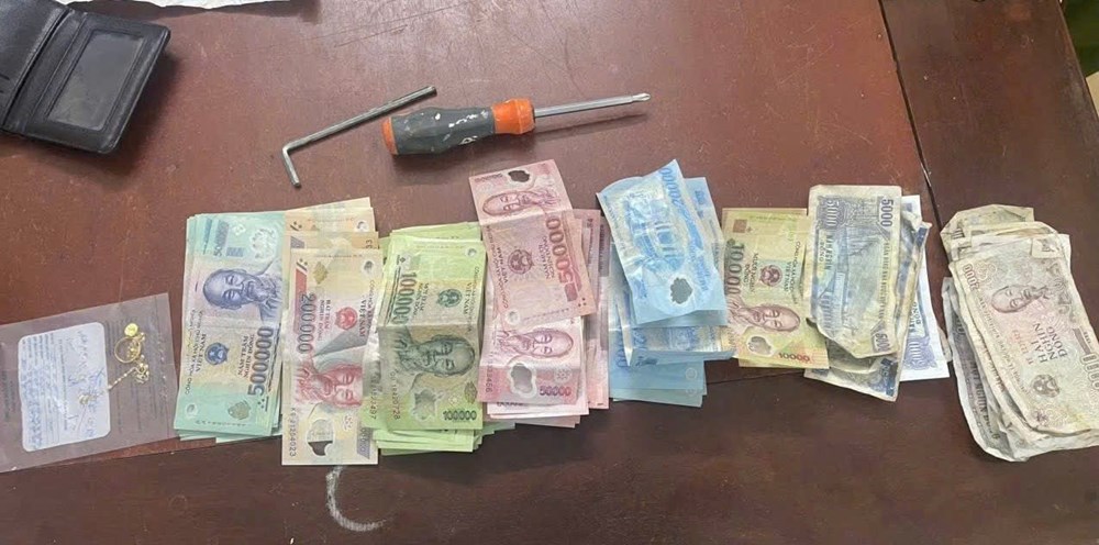 Bắt giữ nghi phạm gây ra 7 vụ trộm trong 20 ngày - ảnh 1