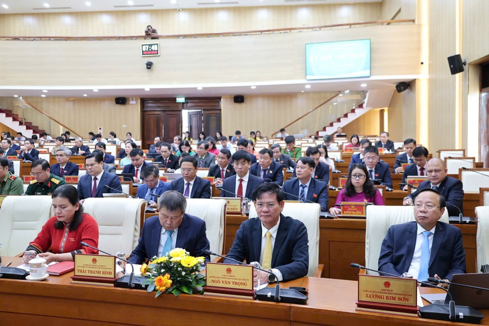 Ông Nguyễn Hoàng Giang tái đắc cử Chủ tịch UBND tỉnh Quảng Ngãi - ảnh 2