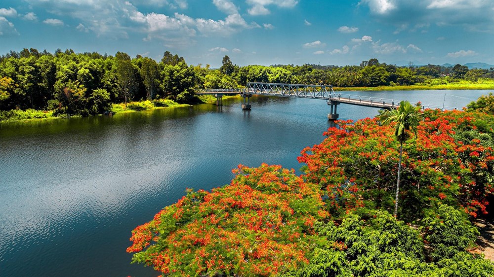 Lễ hội du lịch Quảng Ngãi 2026 mở ra thiên đường trải nghiệm mới - ảnh 7