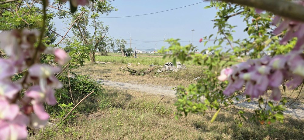 Gần 10 năm, dự án hơn 185 tỉ ở Quảng Ngãi vẫn chưa thành hình - ảnh 2