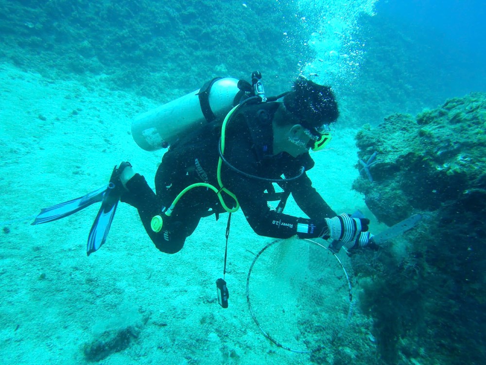 Điều chỉnh khu bảo tồn biển, mở lối phát triển bền vững ở đặc khu Lý Sơn - ảnh 1