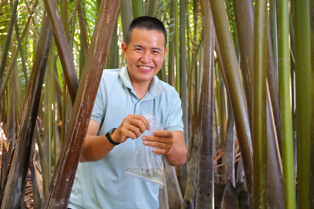 “Mật ngọt” giữa rừng dừa nước xứ Quảng - ảnh 1