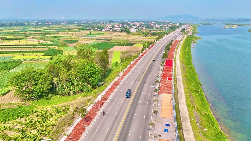 Ớt rớt giá, nông dân Quảng Ngãi “được mùa, trắng tay” - ảnh 8