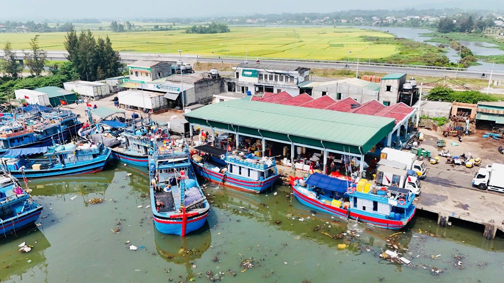 Ngư dân Quảng Ngãi đổi cách đi biển để giữ vững sinh kế - ảnh 5