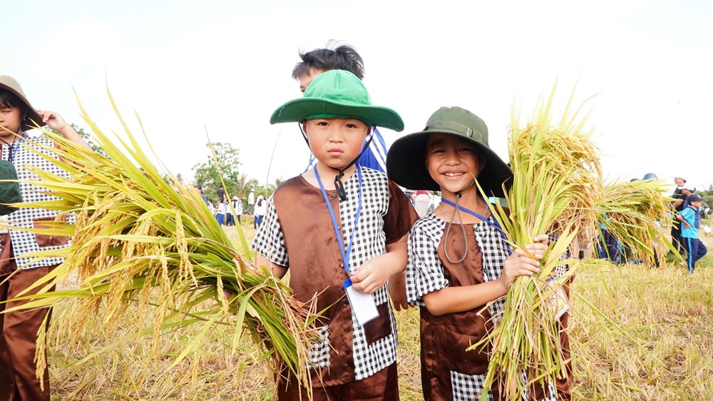 Rộn ràng “Sắc Quê Mộ Đức” – Lễ hội Ngày mùa 2026 đậm đà bản sắc nông thôn - ảnh 3