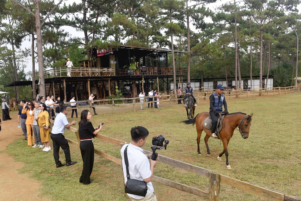 Khám phá Quảng Ngãi - Nơi đại dương kể chuyện, đại ngàn níu chân - ảnh 11