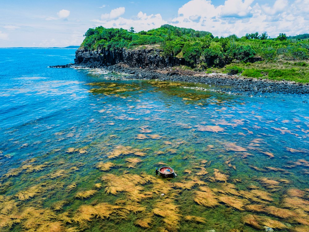 Khám phá Quảng Ngãi - Nơi đại dương kể chuyện, đại ngàn níu chân - ảnh 5