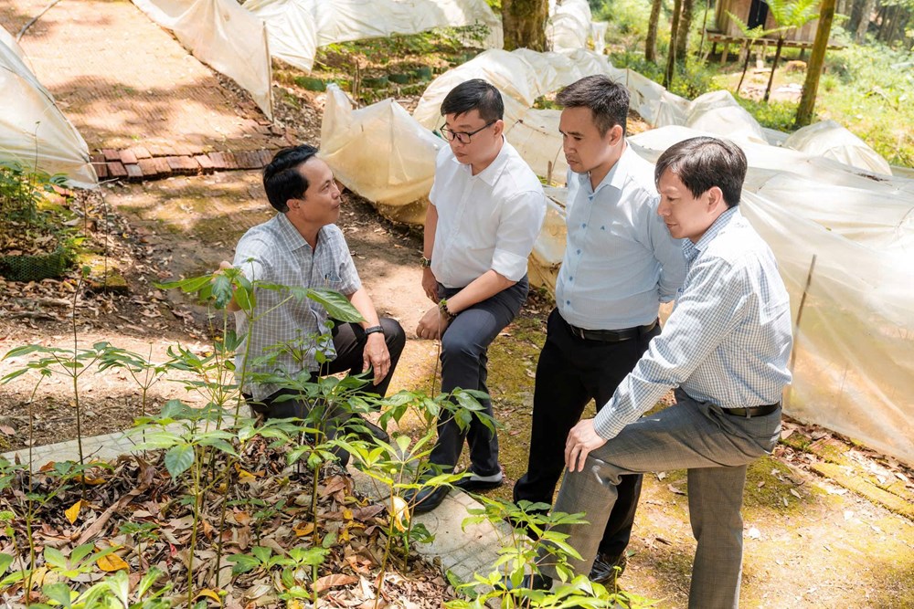Khám phá Quảng Ngãi - Nơi đại dương kể chuyện, đại ngàn níu chân - ảnh 9
