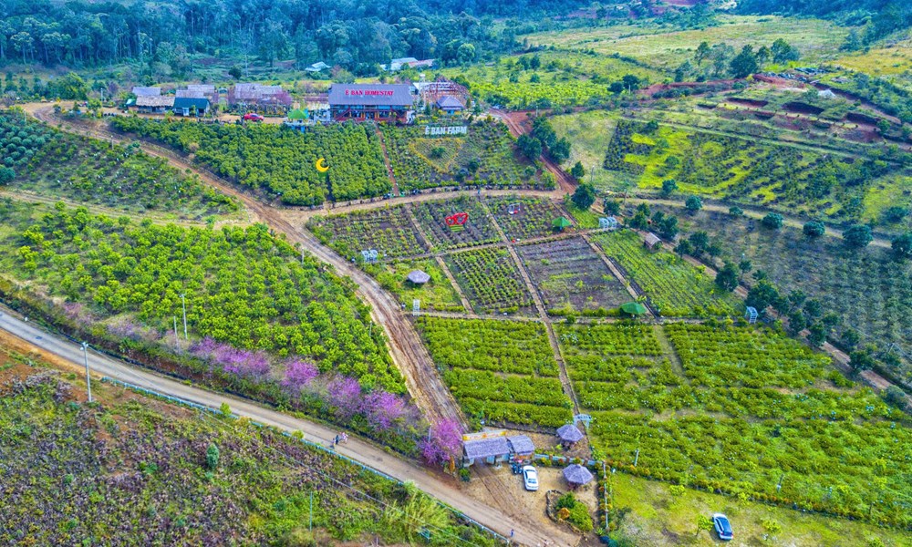 Khám phá Quảng Ngãi - Nơi đại dương kể chuyện, đại ngàn níu chân - ảnh 3