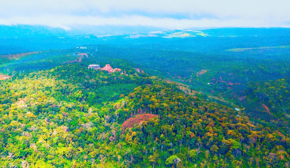 Khám phá Quảng Ngãi - Nơi đại dương kể chuyện, đại ngàn níu chân - ảnh 7