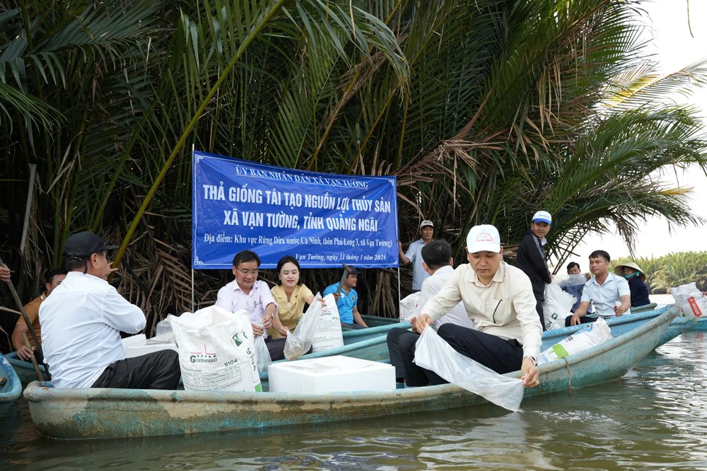 Về Vạn Tường, sống chậm giữa thiên nhiên nguyên sơ và du lịch bền vững - ảnh 6