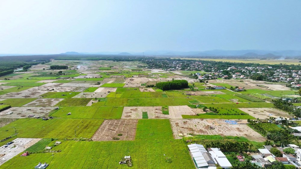 Nông nghiệp Lân Phong chuyển từ tự phát sang liên kết chuỗi - ảnh 1