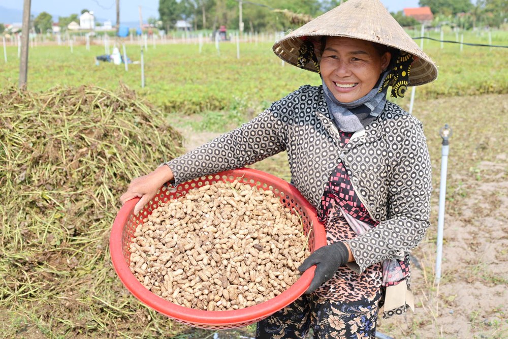 Nông nghiệp Lân Phong chuyển từ tự phát sang liên kết chuỗi - ảnh 6
