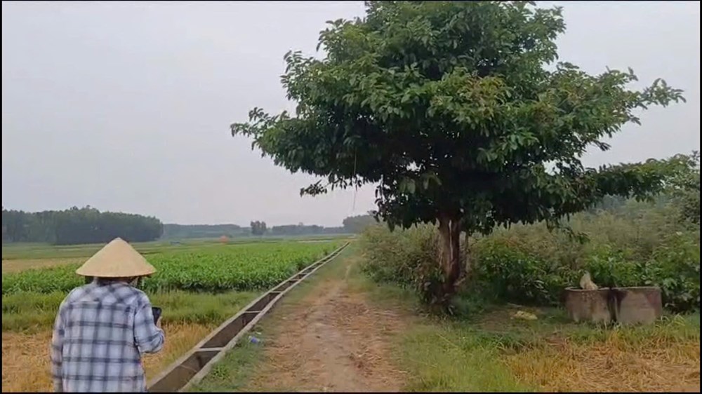 Một người đàn ông tử vong do sét đánh khi đang làm đồng - ảnh 1