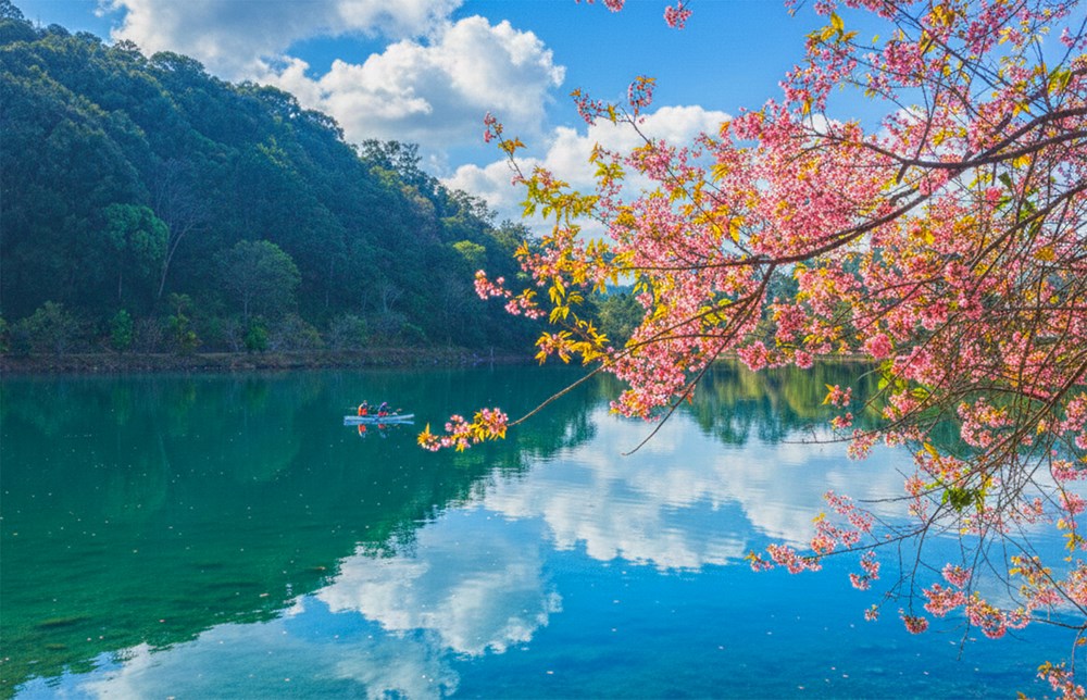 Măng Đen - Từ “thiên đường xanh” đến cực tăng trưởng du lịch, đô thị sinh thái mới của Tây Nguyên - ảnh 13