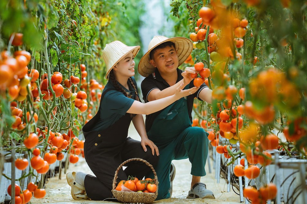 Măng Đen - Từ “thiên đường xanh” đến cực tăng trưởng du lịch, đô thị sinh thái mới của Tây Nguyên - ảnh 8