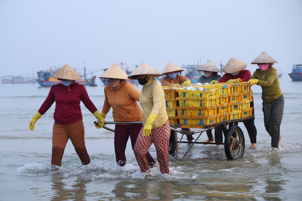 Chợ cá ven biển Quảng Ngãi tấp nập dịp lễ  - ảnh 3