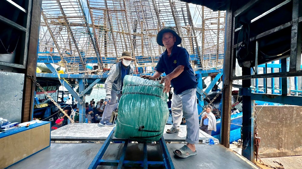 Hai tháng giữa biển khơi, ngư dân Quảng Ngãi thu tiền tỉ từ mực - ảnh 5