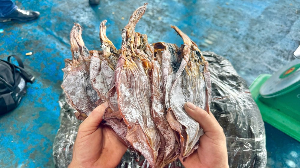 Hai tháng giữa biển khơi, ngư dân Quảng Ngãi thu tiền tỉ từ mực - ảnh 3